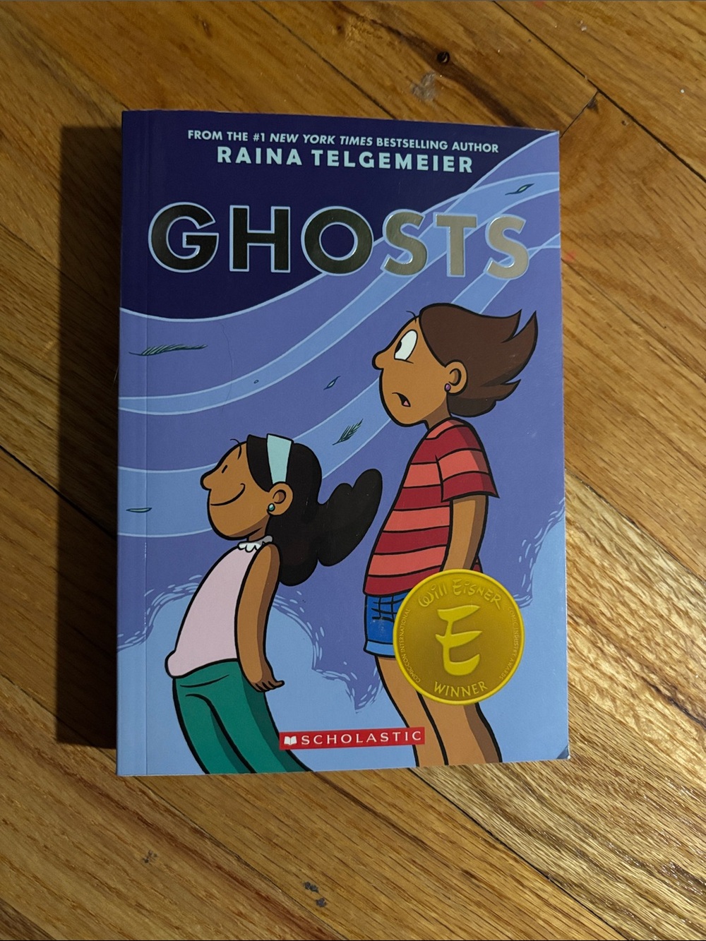Scholastic Ghosts Graphic Novel – Purple & Blue Cover